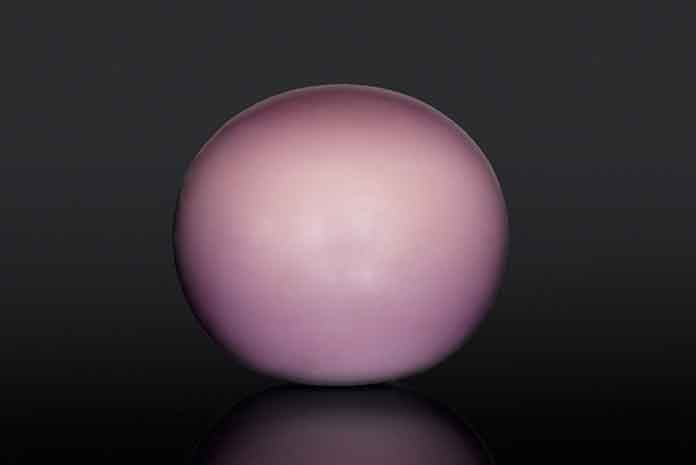 pearl pearl