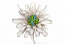 Dahlia brooch