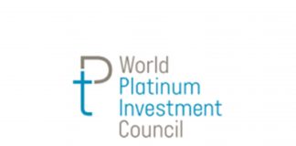 World Platinum Investment Council