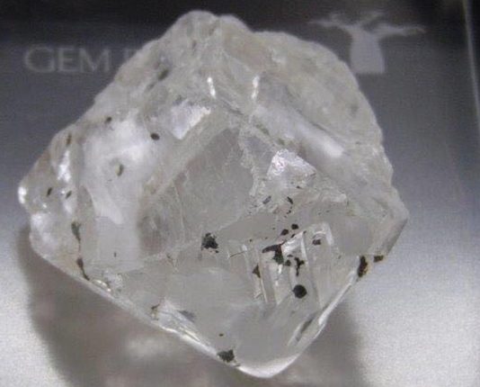 Gem 202