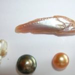 The Story Behind the Fish-Pearl