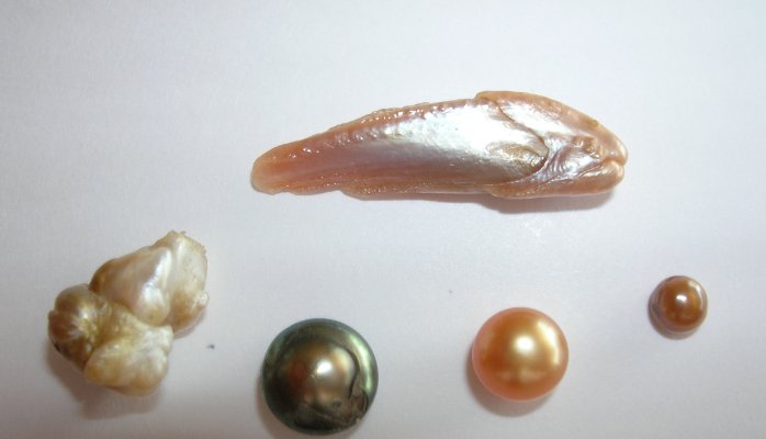 The Story Behind the Fish-Pearl