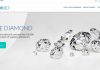 Diamnet Loose Diamond