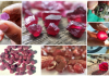 Fura Announces Plans to Acquire Additional Ruby Licence in Mozambique