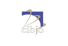 CIBJO Highlights Jewellery Industry’s Efforts to Support