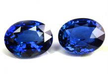Coloured gems to dazzle at September Fair