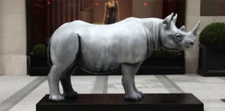 Forevermark Supports Tusk Rhino Trail to Boost Conservation Efforts for Rhino and Other Similar Species