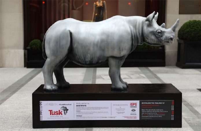 Forevermark Supports Tusk Rhino Trail to Boost Conservation Efforts for Rhino and Other Similar Species