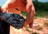 Canada’s Maxtech Ventures to expand footprint in Brazil with manganese JV