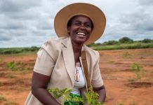 De Beers group and UN women announce programme to support more than 1,200 women entrepreneurs in Southern Africa