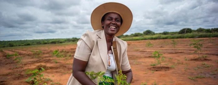 De Beers group and UN women announce programme to support more than 1,200 women entrepreneurs in Southern Africa