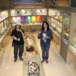 Museum of Gem and Jewellery Federation -Jaipur