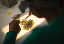 De Beers cites solid overall demand amid lower sales