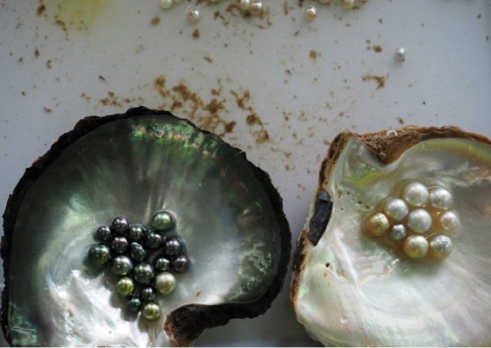 CIBJO report cites pearl trade’s sustainability efforts