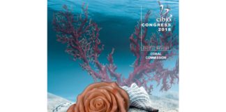 Coral Commission to Focus on Sustainability of Precious Coral Reefs, Online Education at CIBJO Congress