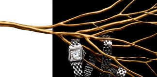 Jewellery, watches drive Richemont sales