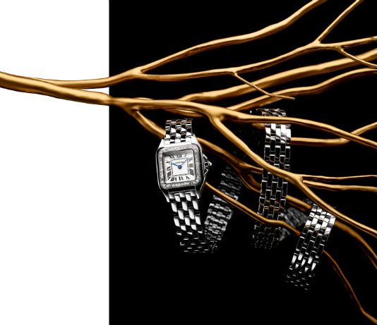 Jewellery, watches drive Richemont sales