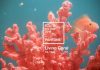 Living Coral is Pantone's 2019 colour of the year.