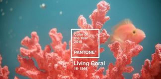 Living Coral is Pantone's 2019 colour of the year.