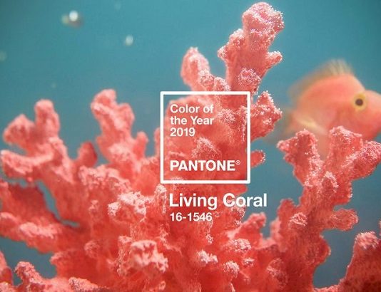 ‘Vibrant, mellow’ Living Coral is 2019 colour of the year Living Coral is Pantone's 2019 colour of the year.
