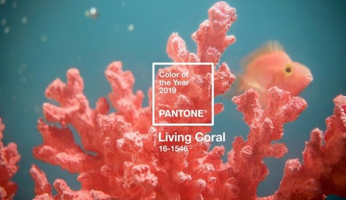 Living Coral is Pantone's 2019 colour of the year.