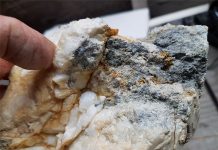 Golden Predator extends 3 Aces mineralization