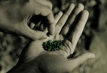 Provenance Proof Blockchain enables transparency for the entire gem and jewellery industry