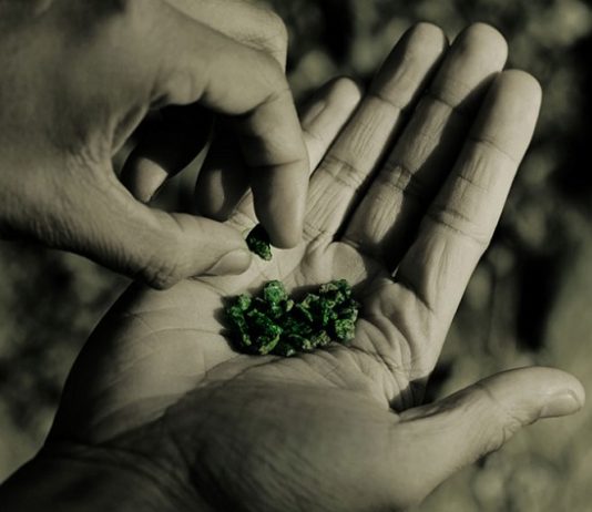 Provenance Proof Blockchain enables transparency for the entire gem and jewellery industry