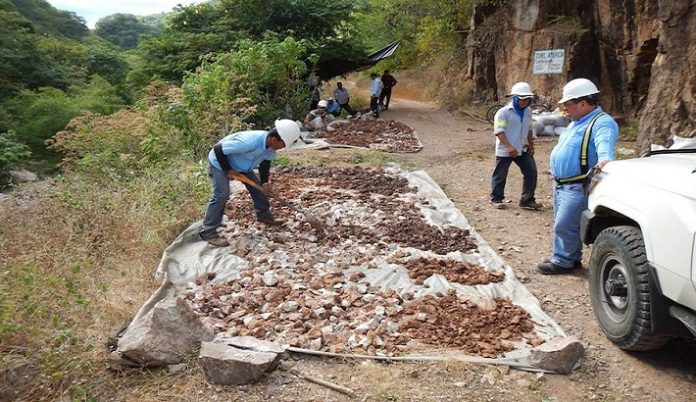 condor gold la india bulk sampling