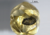 Rough Diamond Zimmi