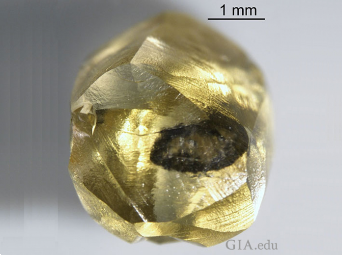 Rough Diamond Zimmi