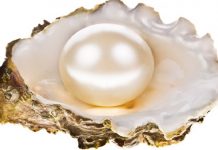 CPAA announces its 10th Annual International Pearl Design Competition