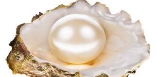 CPAA announces its 10th Annual International Pearl Design Competition