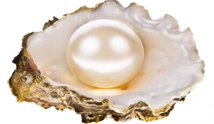 CPAA announces its 10th Annual International Pearl Design Competition