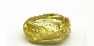 Avraham Eshed named 2019 Israel Diamond Industry Dignitary