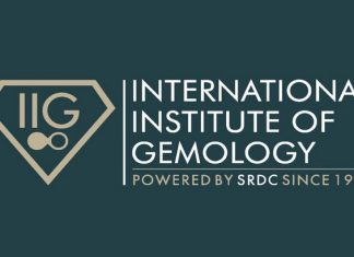 international institute of gemology