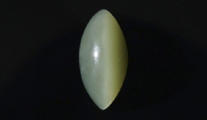 Cat’s-Eye Nephrite Jade