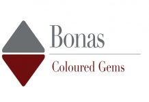 Logo bonas coloured gems