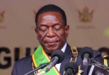 Ousted Chinese Miner Resumes Zimbabwe Operation