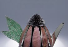 Echinacea Teapot by Valerie Jo Coulson