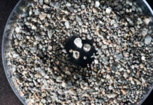 De Beers' rough diamonds