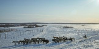 ALROSA partners with a major environmental project in Yakutia