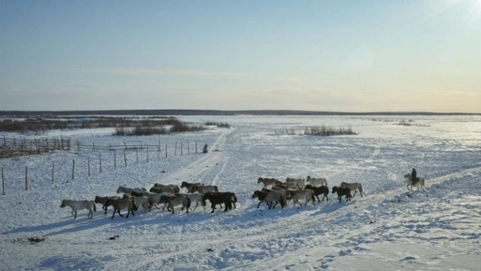 ALROSA partners with a major environmental project in Yakutia