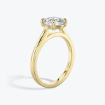 The Cathedral Ring in 18k Yellow Gold (Featuring a Round Brilliant Stone and Plain Band)