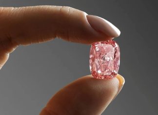 Williamson Pink Star Could Sell for $21m