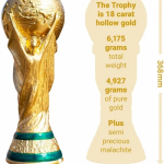 fifa world cup trophy price 2022