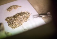 Diamond Trading Subdued in February