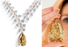 Billionaire Bought $55m Necklace for Daughter-in-Law