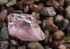 29.5-ct Protea Pink Alluvial Diamond to be Sold