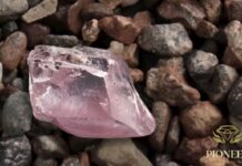 29.5-ct Protea Pink Alluvial Diamond to be Sold